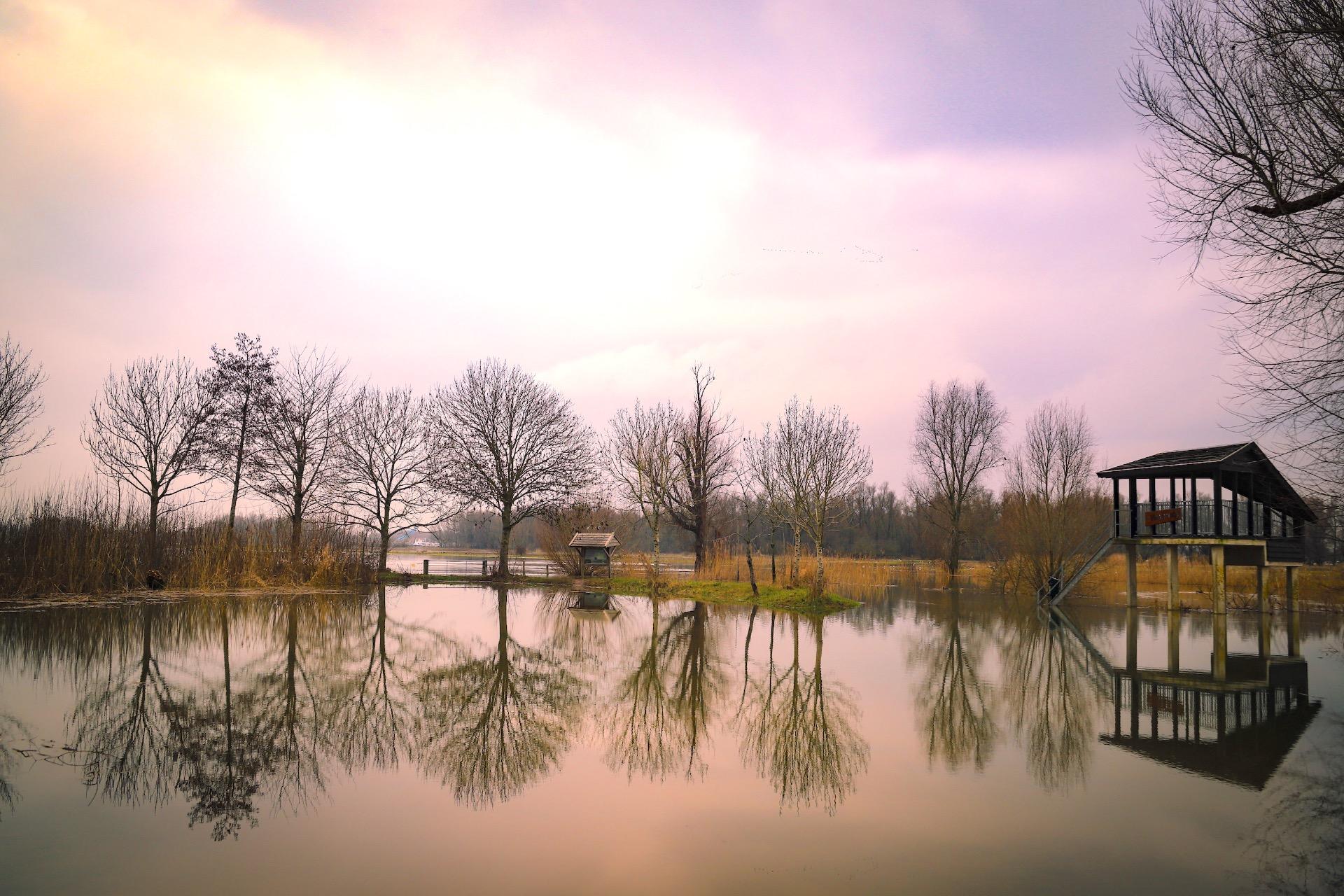 Je kan deze inhoud niet bekijken.
Deze inhoud kan cookies van social media of andere externe platformen bevatten. Aanvaard cookies om de inhoud weer te geven.