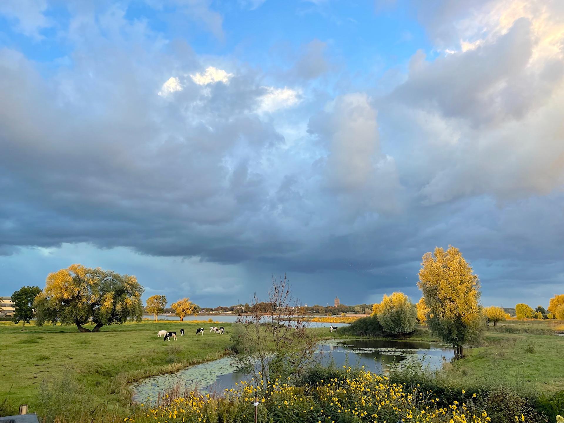 Je kan deze inhoud niet bekijken.
Deze inhoud kan cookies van social media of andere externe platformen bevatten. Aanvaard cookies om de inhoud weer te geven.